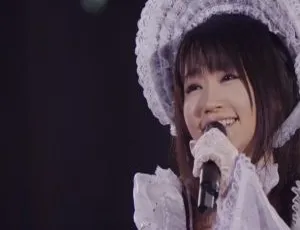 水树奈奈2013 - 2014日本演唱会BDMV 4BD 158G 百度网盘资源-小文资源网