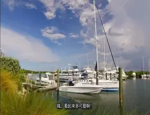 1080P英语中字！《岛屿寻屋趣Island Life》第11季14集百度网盘资源-小文资源网