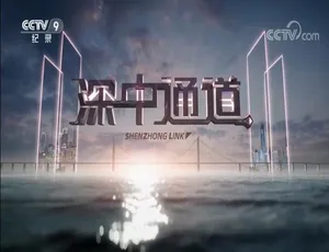 1000P 4集国语中字！纪录片《深中通道》百度网盘资源-小文资源网