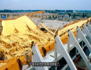 1080P 英语中字！《工程灾难 Engineering Catastrophes》第五季10集 百度网盘资源-小文资源网