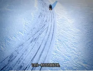 1080P 英语中字！《巅峰拍档/疯狂汽车秀 Top Gear》第 1 季 2 集 百度网盘资源-小文资源网