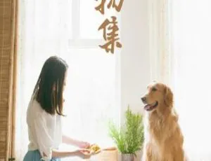 1080P《造物集》第二季13集！英语配音中文字幕 百度网盘资源-小文资源网