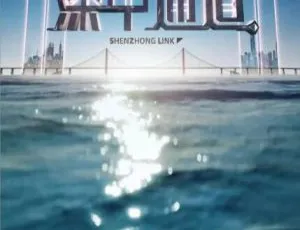1080P 4集国语中字《深中通道》纪录片百度网盘资源