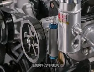 1080P英语中字！《造物小百科》第22季全13集百度网盘资源-小文资源网