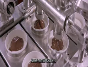 1080P英语中字！《造物小百科》第24季全9集 百度网盘资源-小文资源网