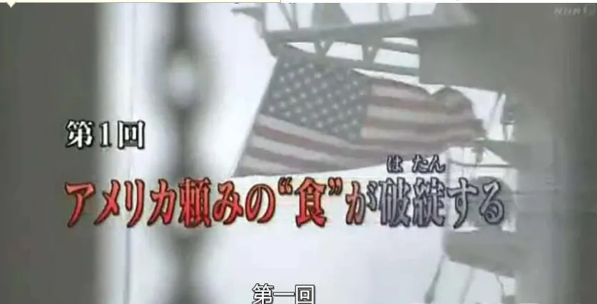 纪录片《世界粮食危机 2008》[1080P][2集 日语配音中文字幕][百度网盘]