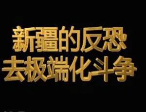 新疆反恐：去极端化斗争纪实（2019纪录片，1080P高清，国语中字，网盘速存）