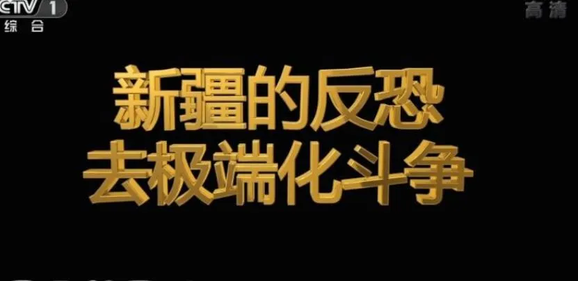 纪录片《新疆的反恐 去极端化斗争 2019》[1080P][1集 国语配音中文字幕][百度网盘]