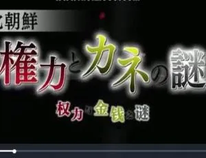 探秘朝鲜权力与金钱之谜 1080P日语配音中文字幕纪录片（百度网盘）-小文资源网