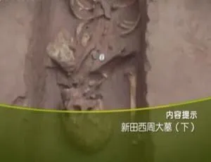 探秘新田西周大墓：1080P全2集，国语配音+中文字幕，百度网盘速领！-小文资源网