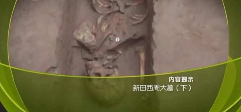 纪录片《新田西周大墓》[1080P][全2集 国语配音中文字幕][百度网盘]
