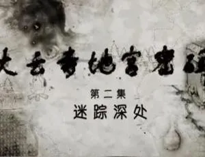 《探秘大云寺地宫：1080P高清3集纪录片，国语配音+中文字幕，百度网盘速领》-小文资源网