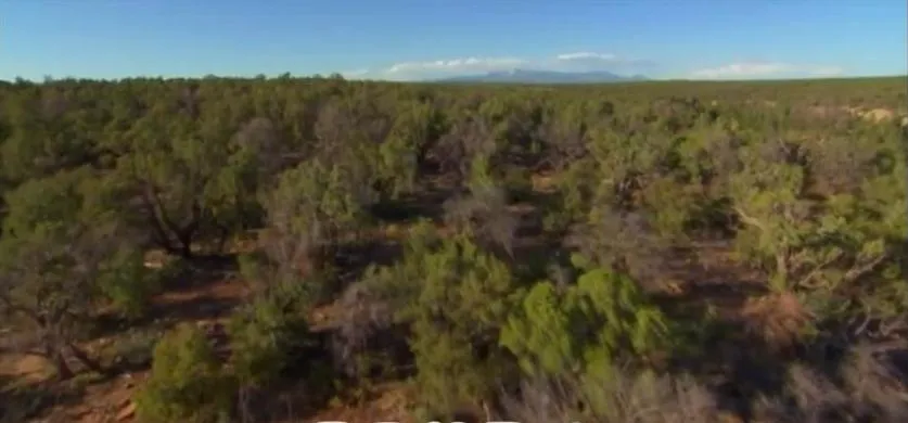 纪录片《考古揭秘/发掘真相》[1080P][10集 英文配音中文字幕][百度网盘]