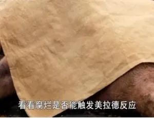 《珍宝解密》纪录片：1080P 第一季 5 集 英语中字 百度网盘资源-小文资源网