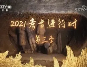 探秘考古现场！2020考古进行时第三季（1080P 9集国语中字）百度网盘资源-小文资源网
