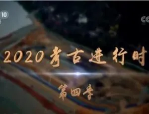 《1080P 高清！2020 考古进行时第四季全 6 集，国语配音中文字幕，百度网盘速存》-小文资源网
