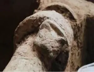 《2020考古进行时》第二季全7集1080P高清纪录片，国语配音中字，百度网盘速存-小文资源网