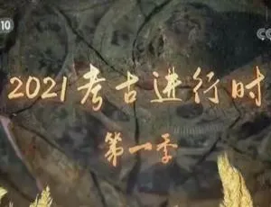 《2020考古进行时》第一季全7集 1080P 国语中字 百度网盘资源-小文资源网