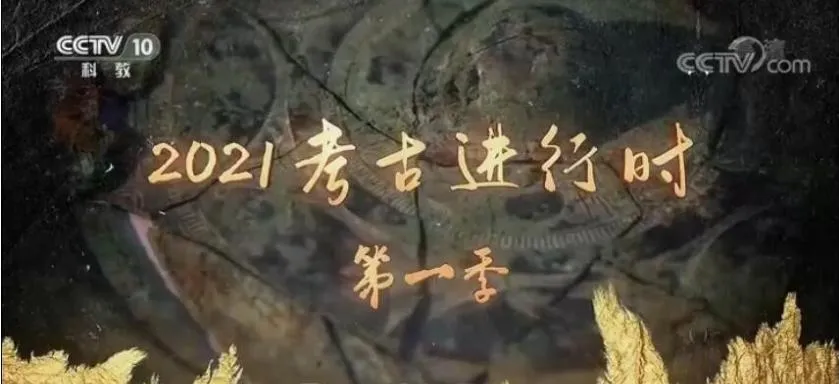 纪录片《2021考古进行时》[1080P][第一季 全8集 国语配音中文字幕][百度网盘]