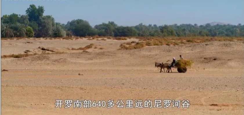 纪录片《珍宝解密》[1080P][第五季共6集 英语中字][百度网盘]