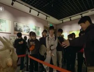 《1080P 纪录片<发掘记>5 集国语中字百度网盘资源》-小文资源网