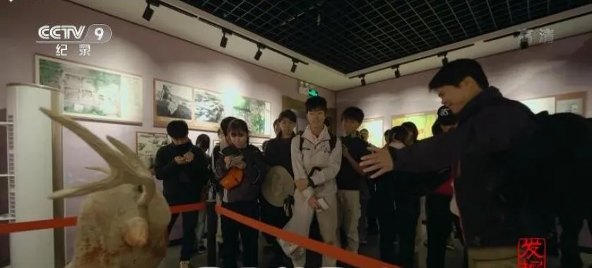 纪录片《发掘记》[1080P][5集 国语中字][百度网盘]