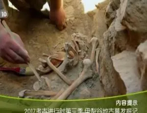 2017考古进行时全4季44集百度网盘资源（国语配音中字）-小文资源网