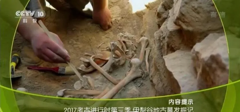 [记录片]《2017考古进行时》[全4季44集  国语配音中文字幕][百度网盘]