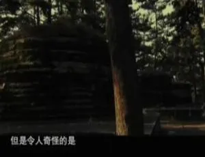 探秘帝国背影：5集纪录片《帝国的背影》国语配音中文字幕百度网盘资源-小文资源网