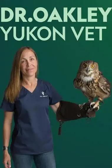 [记录片]《动物侠医/育空兽医 Dr. Oakley, Yukon Vet》[第5季共8集 英语中字][百度网盘]