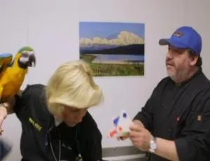 《Dee博士：阿拉斯加兽医》第二季11集英语中字百度网盘资源