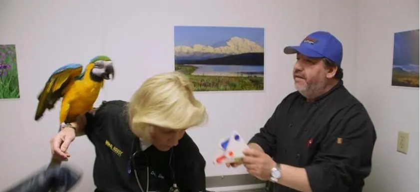 [记录片]《Dee博士：阿拉斯加兽医》[第二季共11集 英语中字][百度网盘]