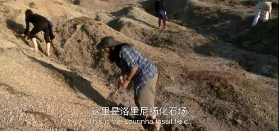 [记录片]《恐龙革命/恐龙王朝》[4集 英文配音中文字幕][百度网盘]