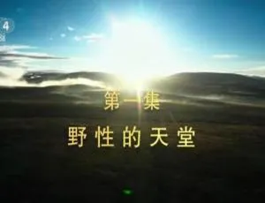 震撼呈现！《国家公园：野生动物王国》3集全1080P，英语配音中文字幕，百度网盘速领！-小文资源网