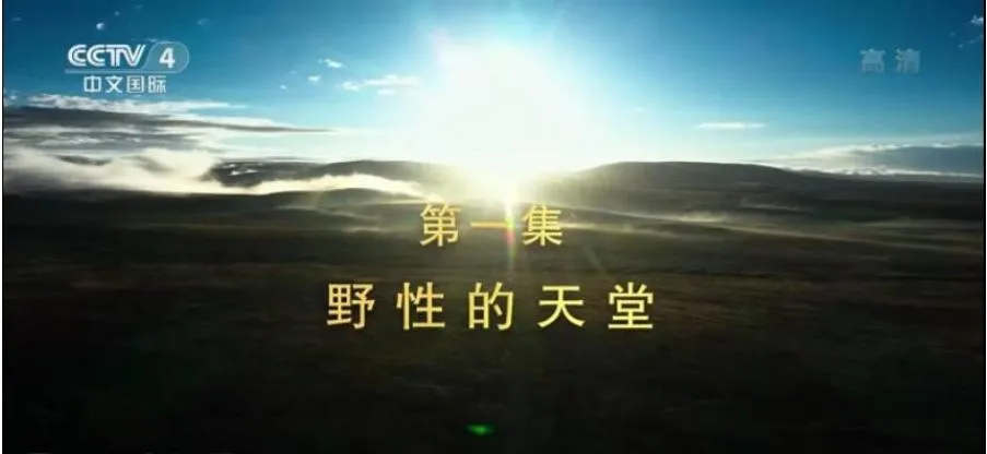 纪录片《国家公园：野生动物王国》[1080P][3集 英语配音中文字幕][百度网盘]