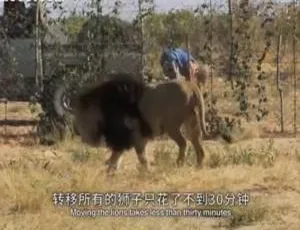 《6集英语配音中英双字纪录片<拯救希尔加>1080P高清资源，百度网盘速领》-小文资源网