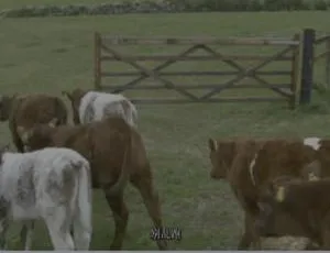 《克拉克森的农场第二季：1080P 英语中字 8 集全》-小文资源网