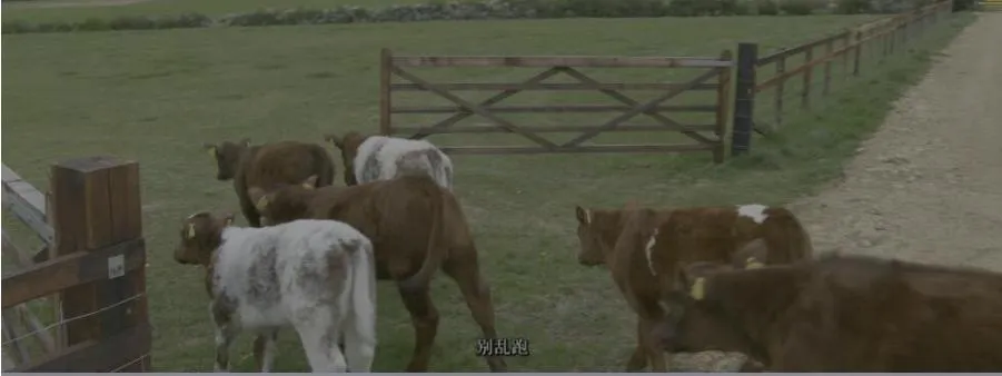 纪录片《克拉克森的农场/我买了一个农场》[1080P][第二季共8集 英语中字][百度网盘]