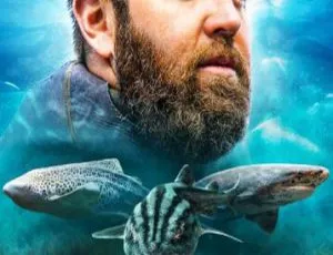 外星鲨鱼：探秘奇怪新世界，1080P 英语中字第 1 季 1 集，百度网盘速领-小文资源网