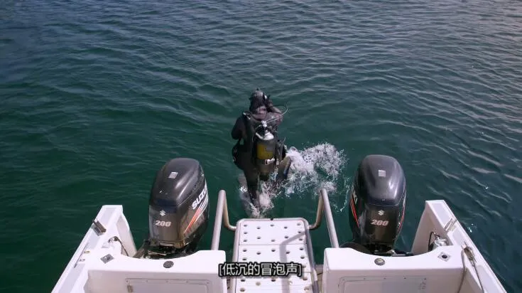 纪录片《外星鲨鱼：奇怪的新世界 Alien Sharks: Strange New Worlds》[1080P][第1季共1集 英语中字][百度网盘]