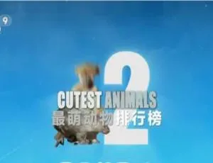 萌翻！72大可爱动物纪录片（1080P/6集/国语配音/中字）百度网盘速取-小文资源网