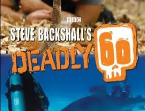 《60种致命动物，第三季20集英语中字，百度网盘速存》-小文资源网