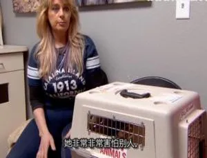 《热血兽医师：落基山兽医杰夫第六季14集英语中字百度网盘资源》-小文资源网