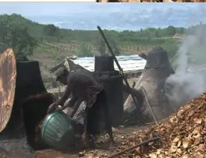 1080P《制造的原理》第二十季全13集（英语中字）百度网盘资源-小文资源网