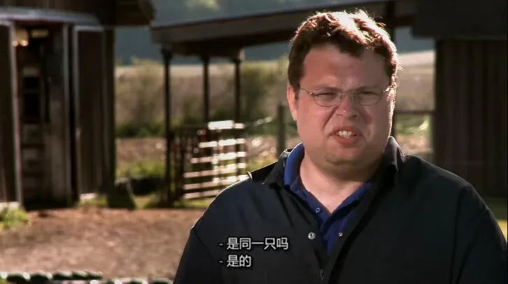 [记录片]《动物神医 The Incredible Dr. Pol》[第2季共16集 英语中字][百度网盘]