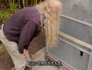 探秘圣地亚哥动物园：英语中字纪录片百度网盘速领-小文资源网