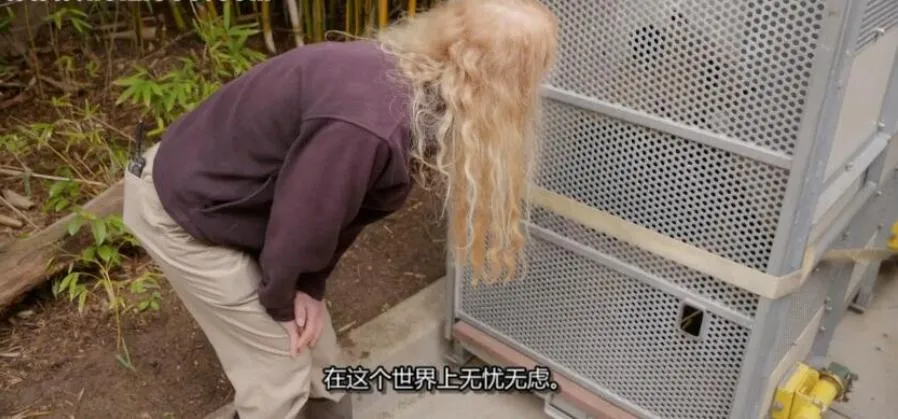 [记录片]《圣地亚哥动物园》[圣地亚哥动物园  英语中字][百度网盘]