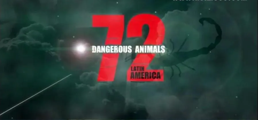 [记录片]《72种危险动物-拉丁美洲》[12集 英语配音中文字幕][百度网盘