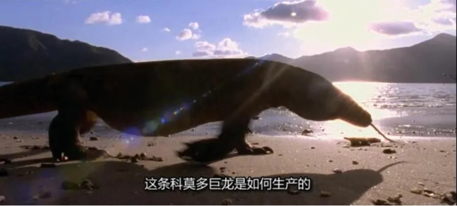 [记录片]《动物奇门功夫》[第二季共16集 英语中字][百度网盘]