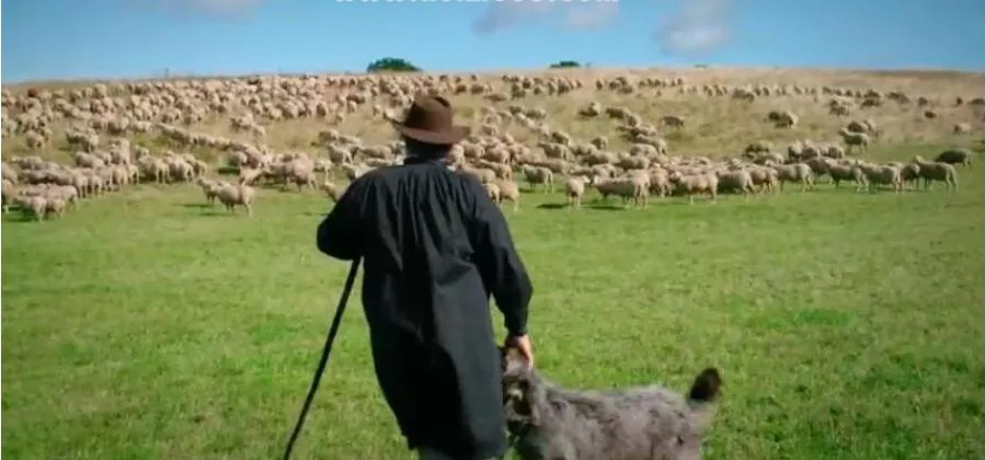 纪录片《农村的远见》[1080P][全2季共10集 国语配音中文字幕][百度网盘]